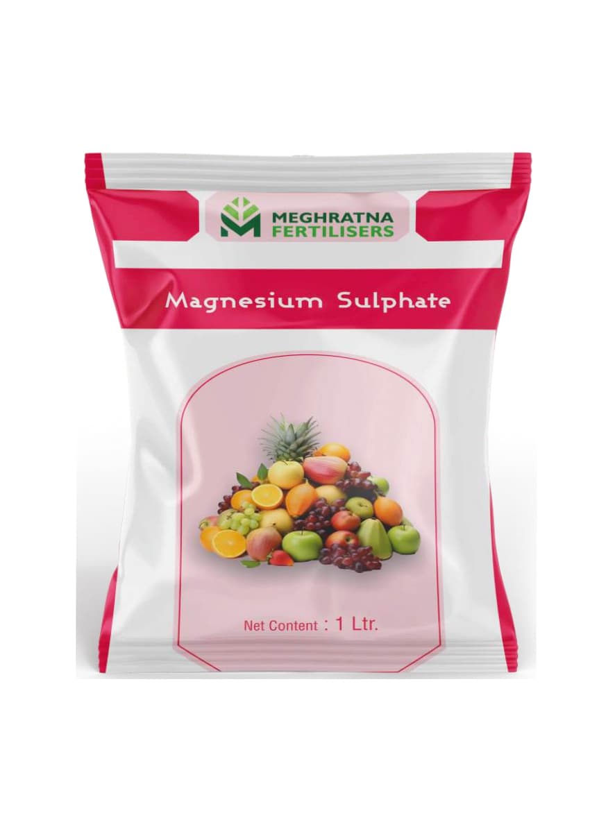 Magnesium Sulphate