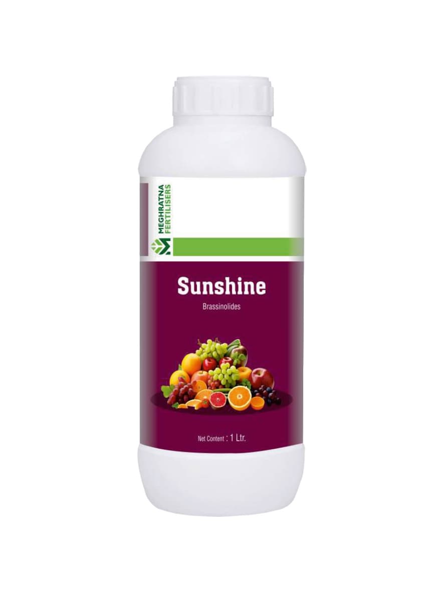 Sunshine - Brassinolides