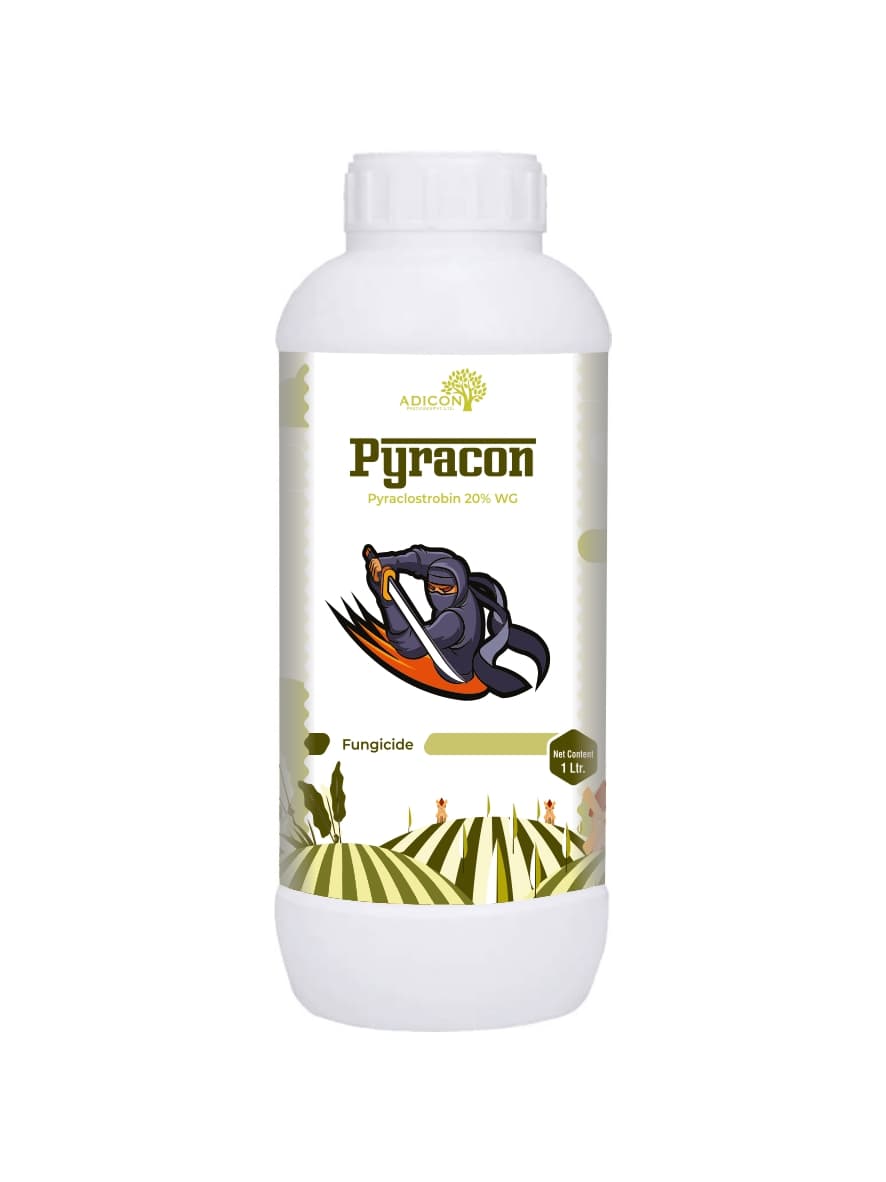 Pyracon - Pyraclostrobin 20% WG