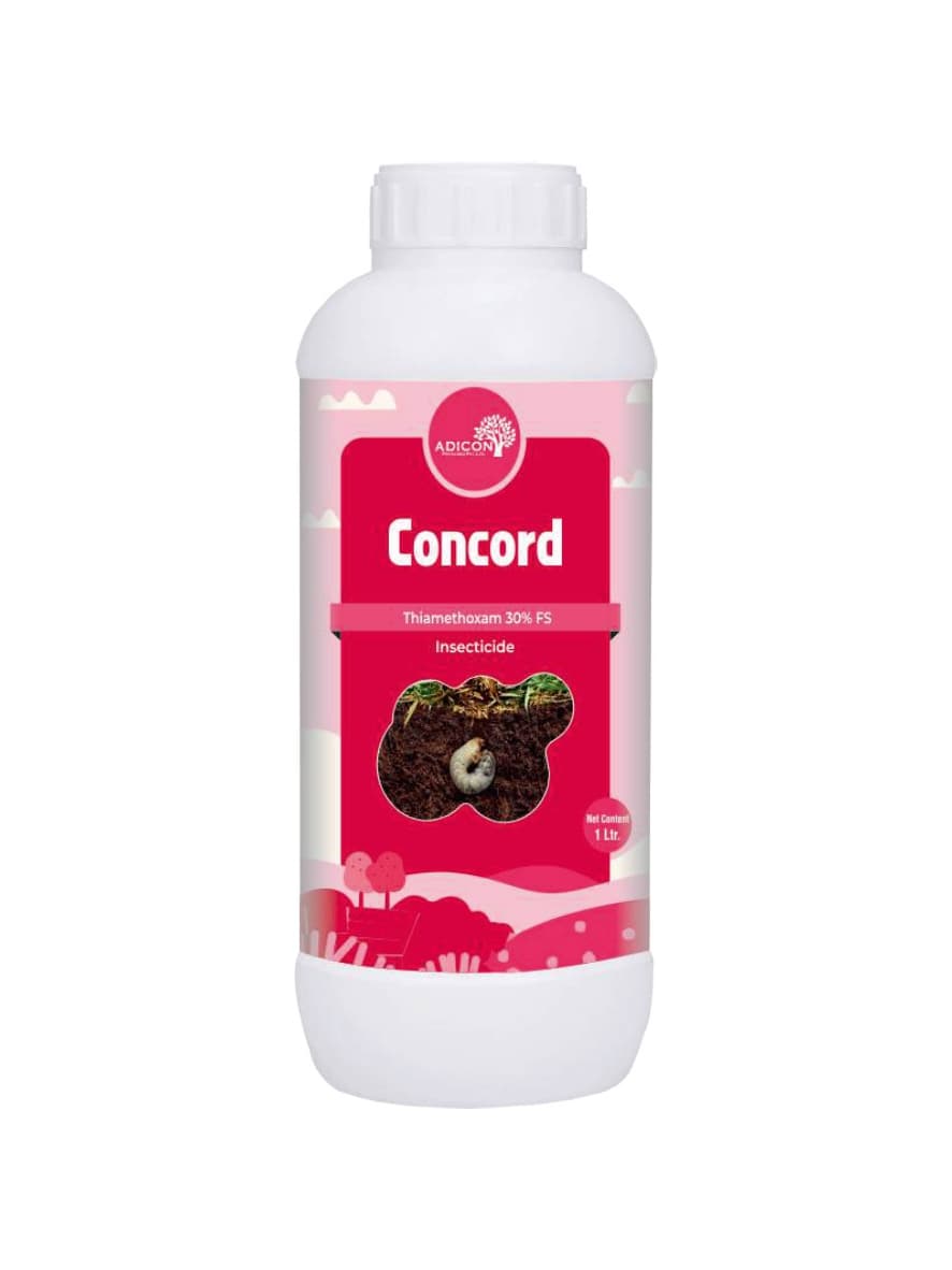 Concord Thiamethoxam 30% FS