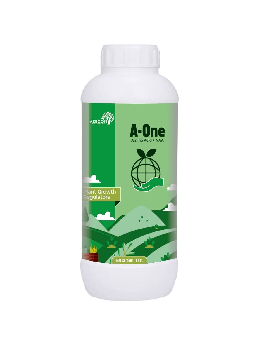 A-One - Amino Acid + NAA