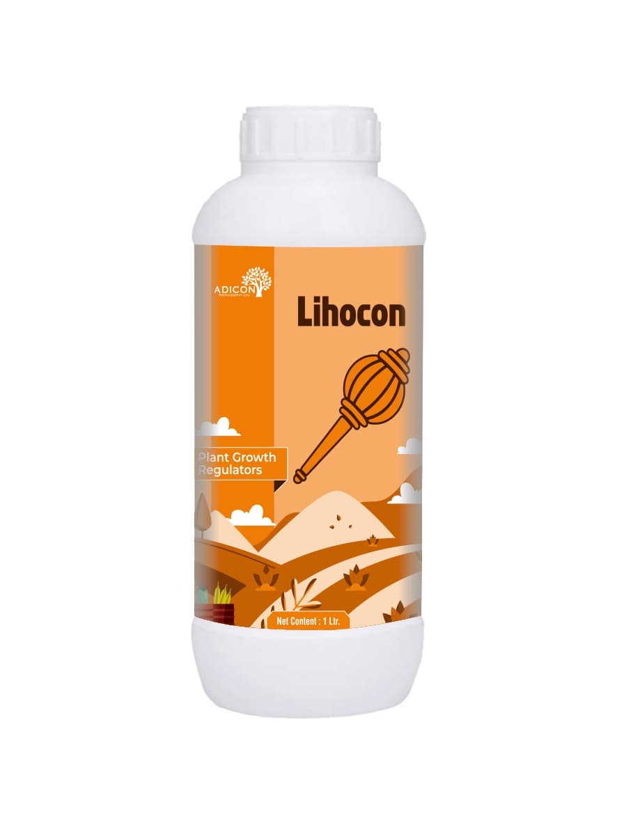 Lihocon