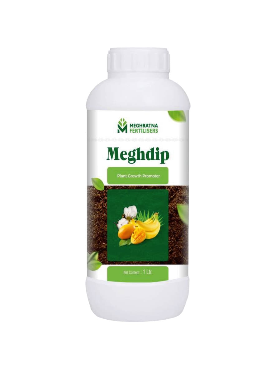 Meghdip